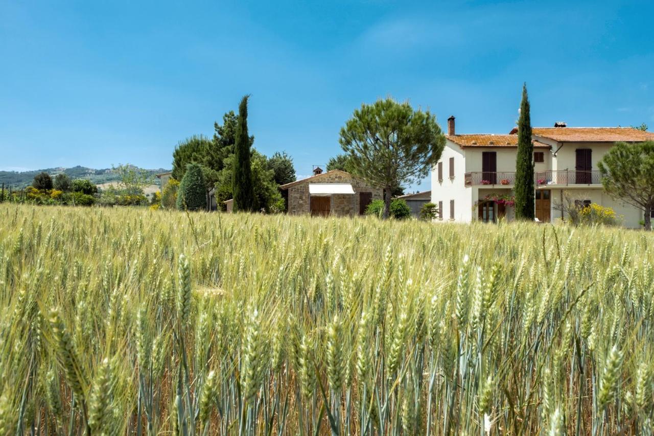 Agriturismo San Marcello Castiglione dʼOrcia Exterior foto